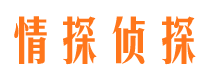 高陵小三调查